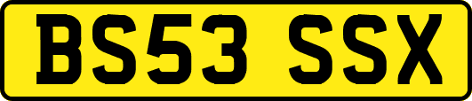 BS53SSX