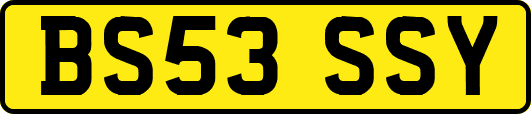 BS53SSY