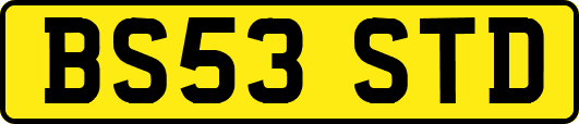 BS53STD