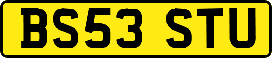 BS53STU