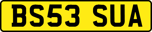 BS53SUA