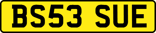 BS53SUE