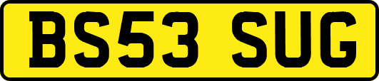 BS53SUG