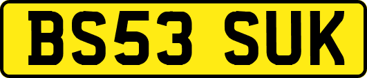 BS53SUK
