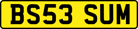 BS53SUM