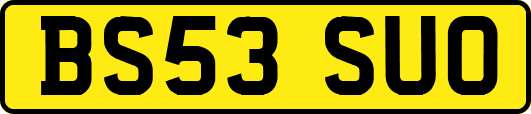 BS53SUO