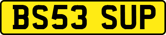 BS53SUP