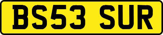 BS53SUR
