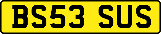BS53SUS