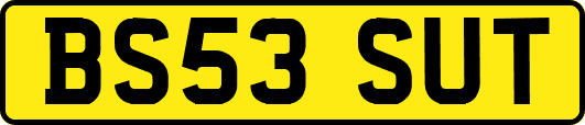 BS53SUT
