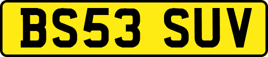 BS53SUV