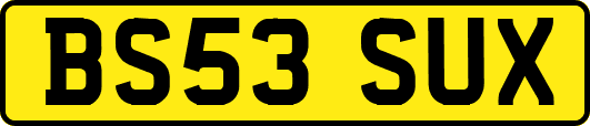 BS53SUX