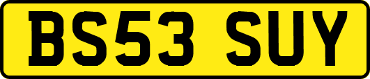 BS53SUY