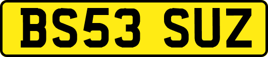 BS53SUZ