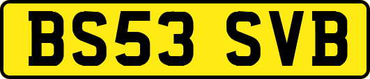 BS53SVB