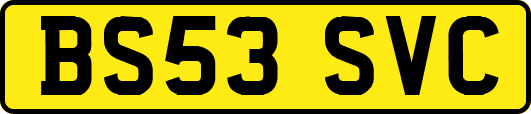 BS53SVC
