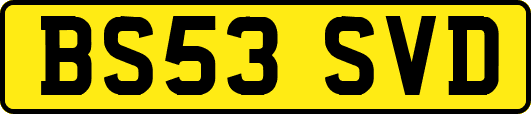 BS53SVD