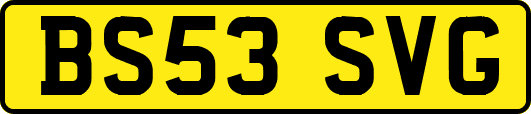 BS53SVG