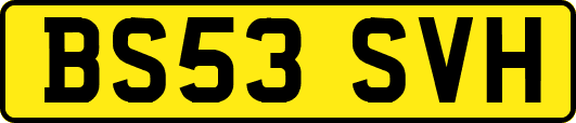 BS53SVH