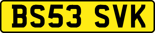 BS53SVK