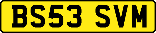 BS53SVM