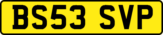 BS53SVP