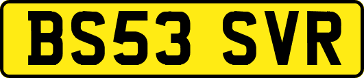 BS53SVR
