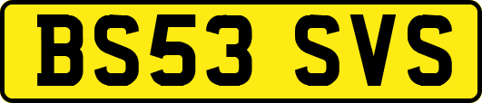 BS53SVS