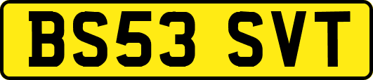 BS53SVT