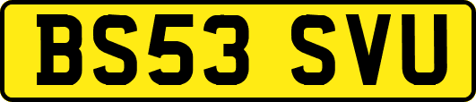 BS53SVU