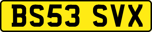 BS53SVX