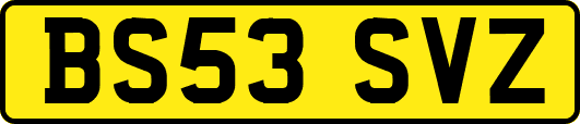 BS53SVZ