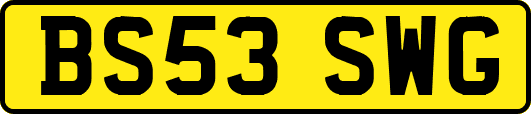 BS53SWG