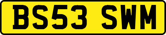 BS53SWM