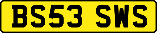 BS53SWS