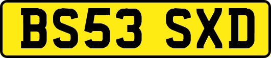BS53SXD