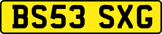 BS53SXG