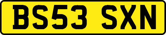 BS53SXN