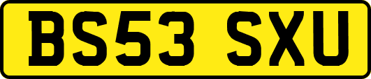 BS53SXU