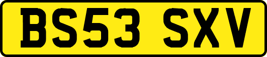 BS53SXV
