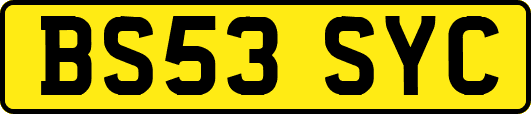 BS53SYC