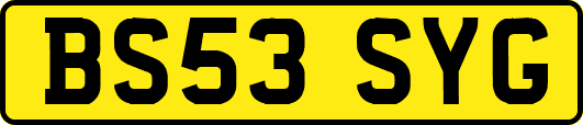 BS53SYG