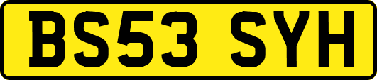 BS53SYH