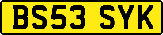 BS53SYK