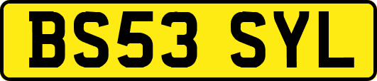 BS53SYL