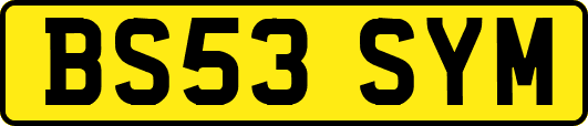 BS53SYM