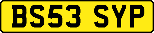 BS53SYP