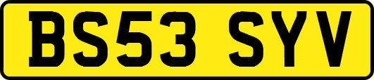 BS53SYV