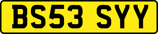 BS53SYY