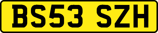 BS53SZH